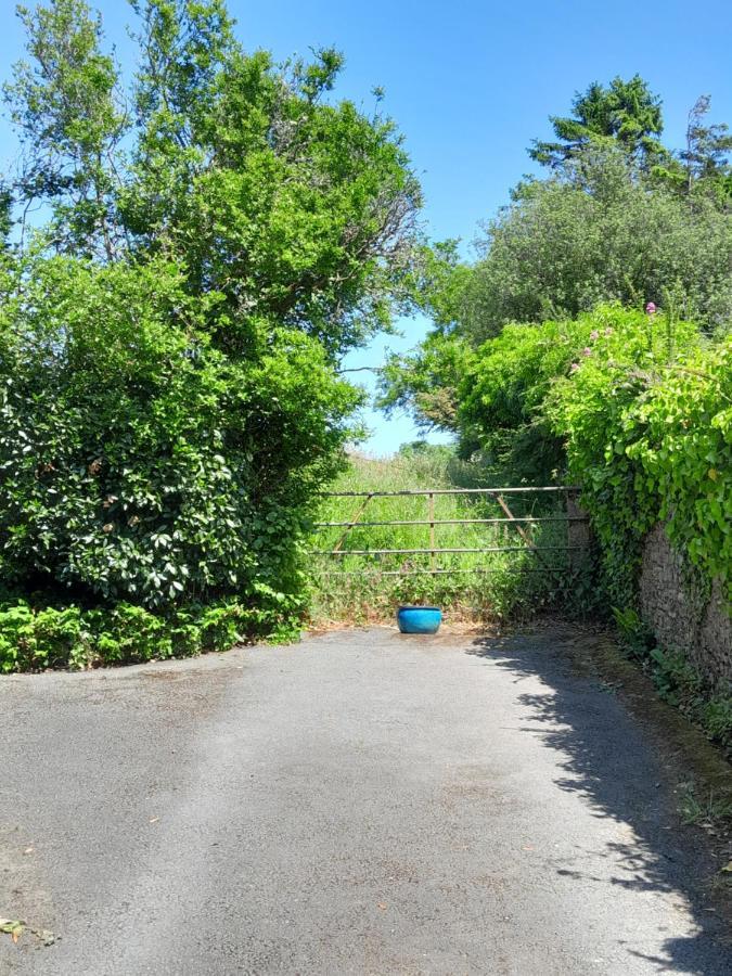 Apartamento The Artist'S Retreat Calstock Exterior foto